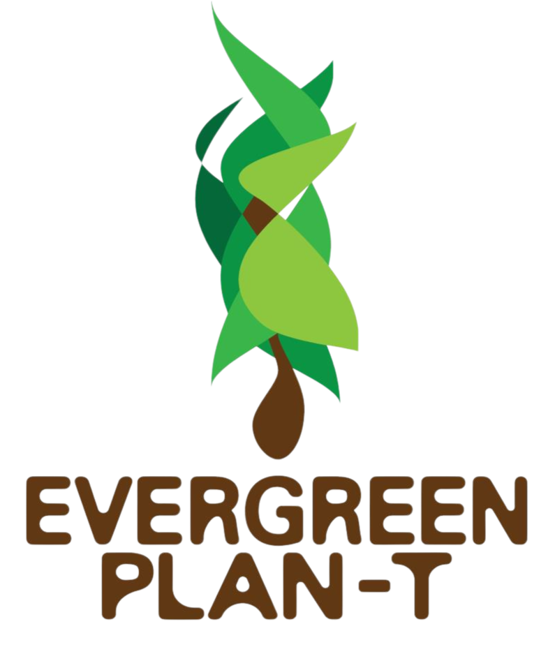 evergreen plan t